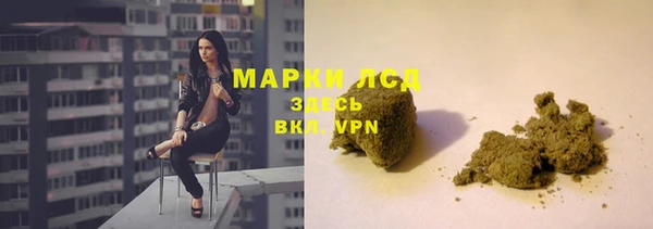 PSILOCYBIN Балабаново