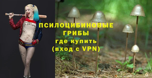 ALPHA PVP Баксан