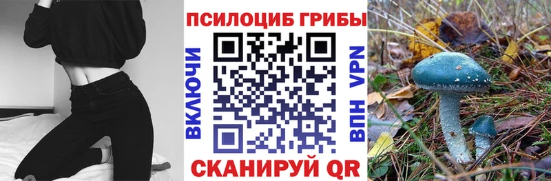 Галлюциногенные грибы Cubensis  наркота  Городец 