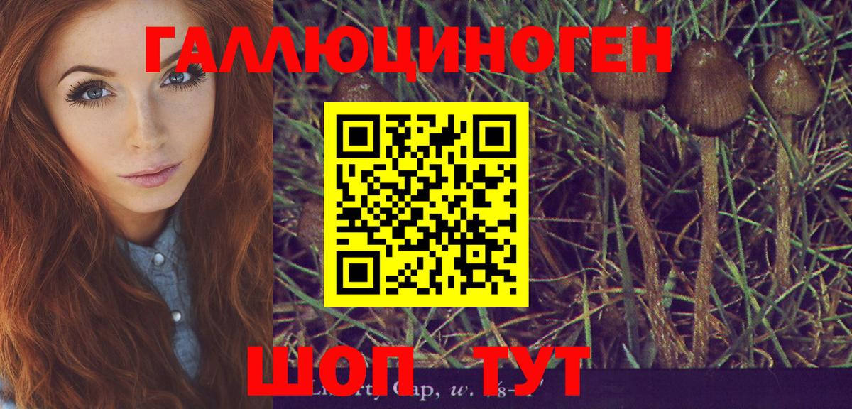 Псилоцибиновые грибы GOLDEN TEACHER Городец